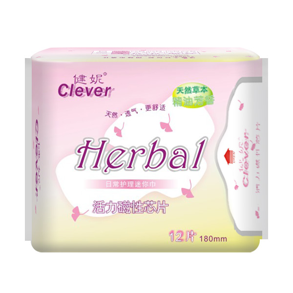 健妮活力磁性芯片日常护理迷你巾12片.jpg