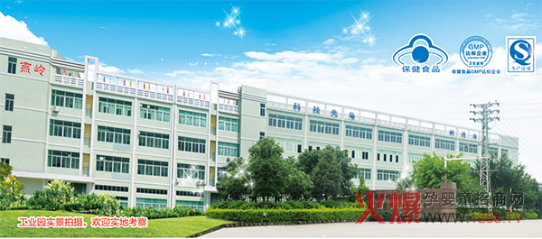 广东燕岭公司.jpg