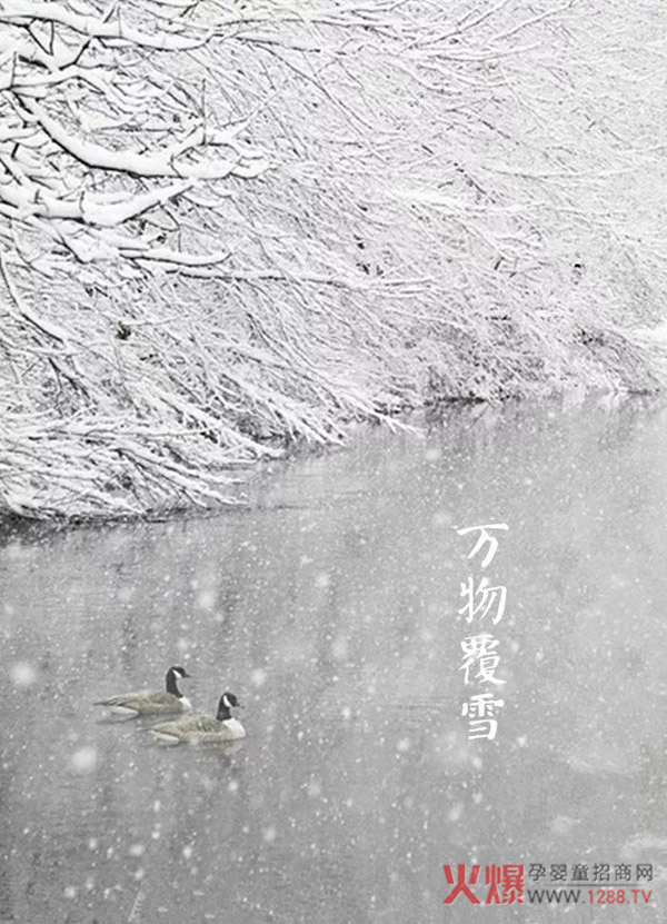 大雪诗词4.jpg