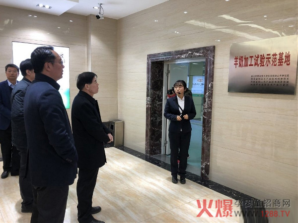 “全媒体行动”走进和氏1.jpg