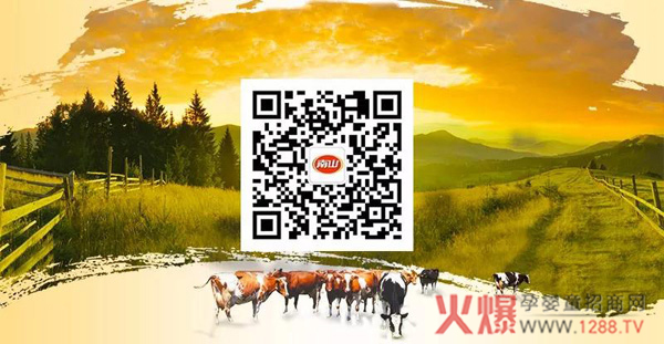 南山倍慧奶粉公众号.jpg