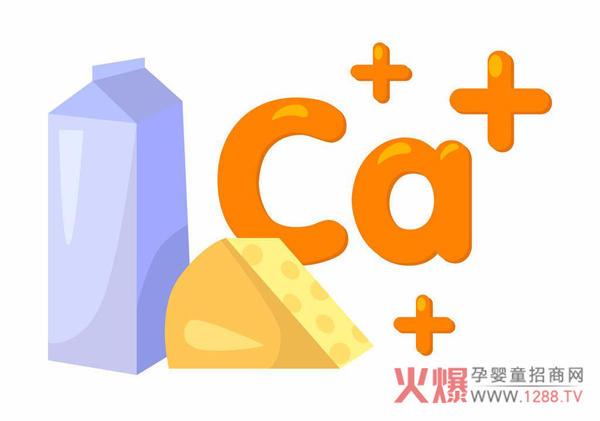 钙对骨骼的重要性.jpg