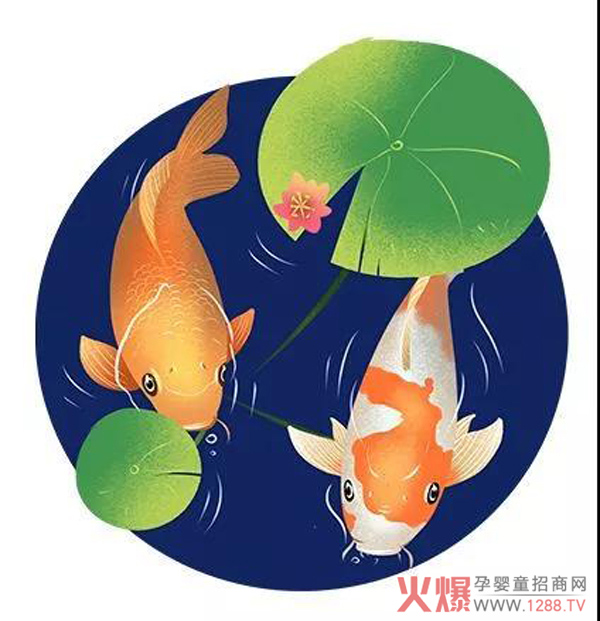 锦鲤.jpg