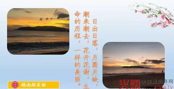 海边看日出.jpg