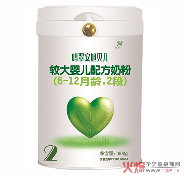 鸣翠安旭贝儿j较大婴儿配方奶粉（6-12月龄，2段）800g.jpg
