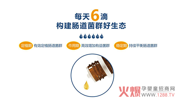 初宝科汉森益生.jpg
