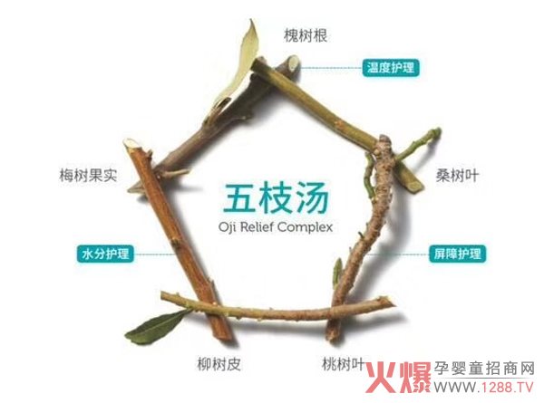 咪粒五枝汤.jpg