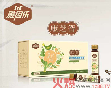 雅因乐康芝智DHA核桃植物饮液.jpg