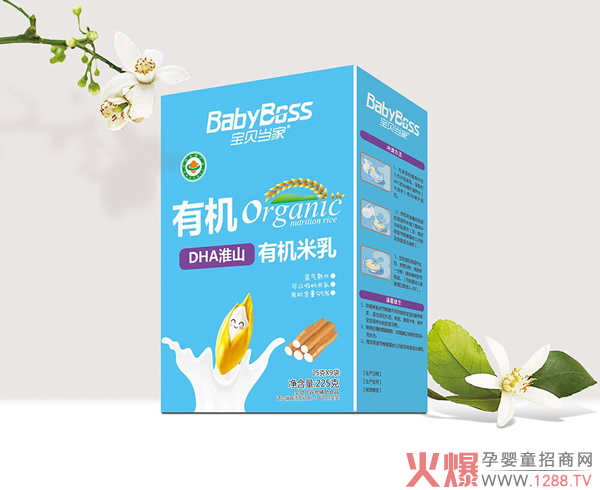 宝贝当家有机米乳盒装225克（DHA淮山）.jpg