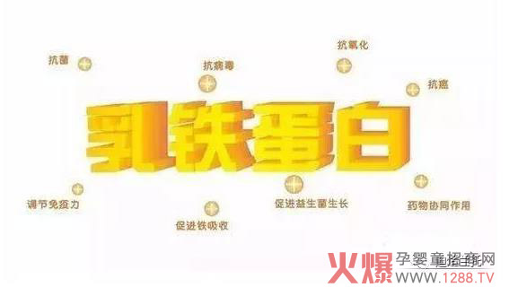 乳铁蛋白的作用.jpg