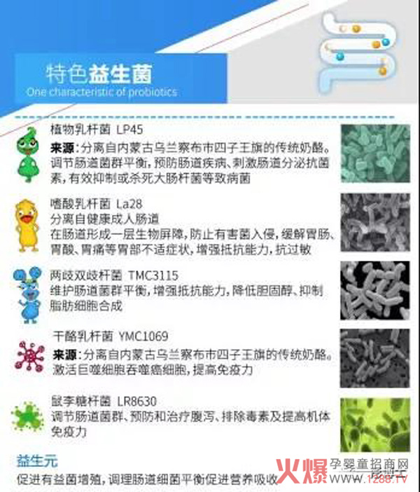 彤博士益辅乐-五联活性益生菌特色.jpg
