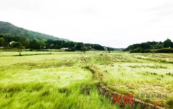 南山倍慧40公里毅行圆满结束11.jpg