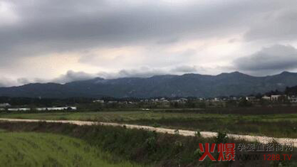 南山倍慧40公里毅行圆满结束01.jpg