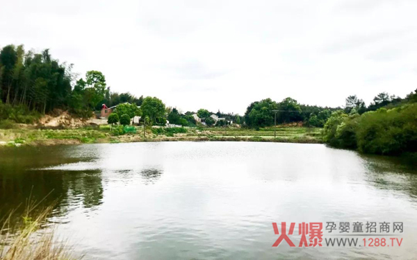 南山倍慧40公里毅行圆满结束12.jpg