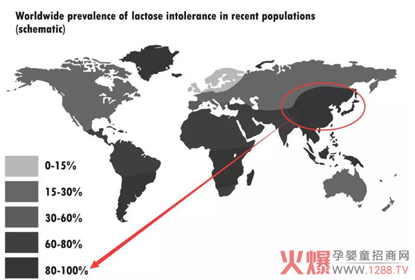 最新世界范围乳糖不耐症患病率分布图.jpg