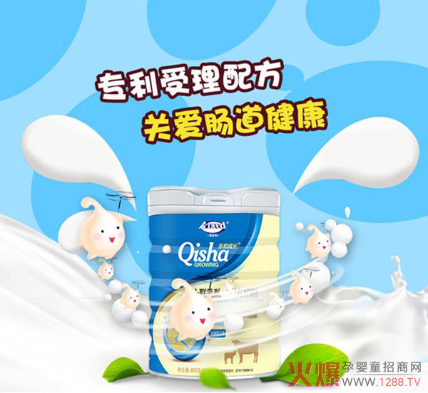 爱能特十联乳酸菌配方奶粉.jpg