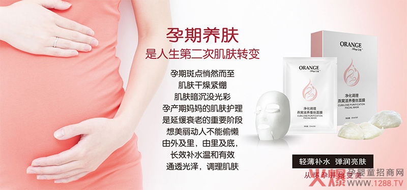 贝橙1.jpg