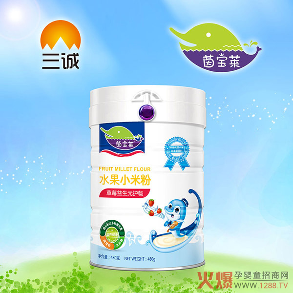 茵宝莱草莓益生元护畅水果小米粉罐装.jpg