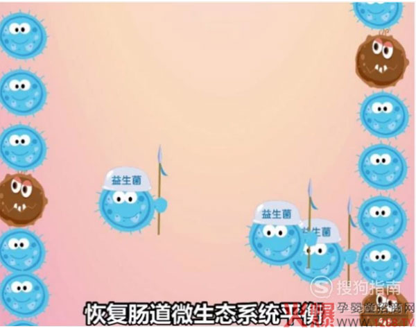 肠道系统.jpg