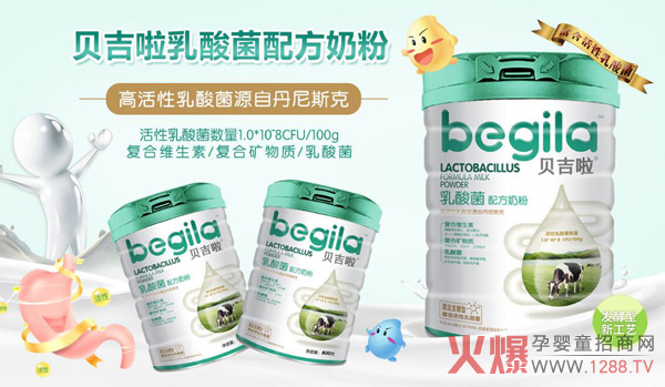 贝吉啦乳酸菌配方奶粉.jpg