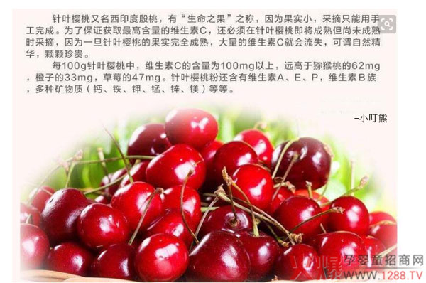 樱桃1.jpg