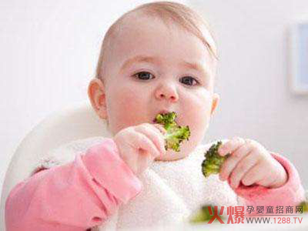营养食物.jpg