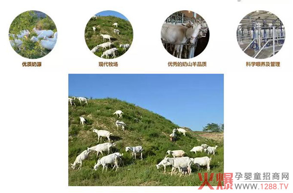 好奶源.jpg