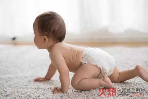 巨大的纸尿裤市场推动微商的发展.jpg