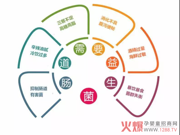 肠道需要益生菌.jpg
