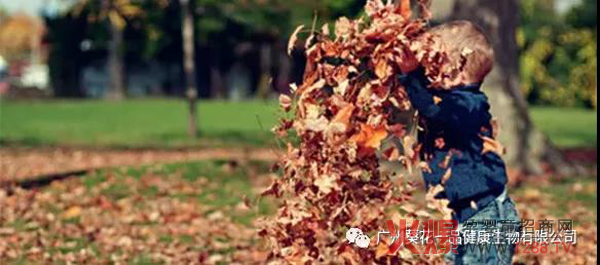 葵花一品祝福所有小朋友节日快乐1.jpg