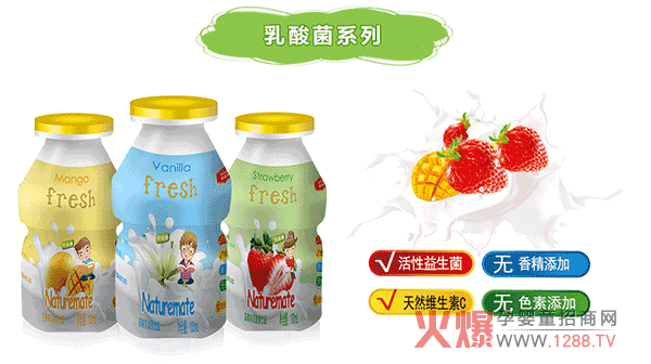 纽滋美乳酸菌系列.png