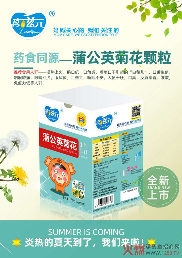 真滋元蒲公英菊花.jpg 真滋元蒲公英菊花.jpg