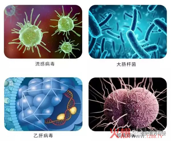 细菌病毒.jpg