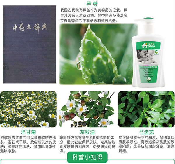 芦荟.jpg