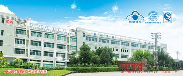 广东燕岭工业生产基地.jpg
