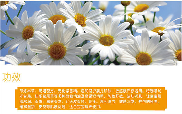 洋甘菊gongx作用.jpg