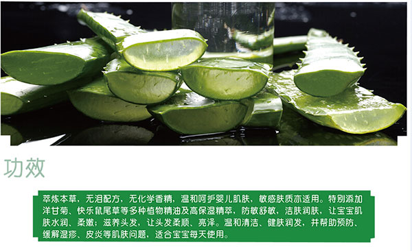 芦荟gongx作用.jpg