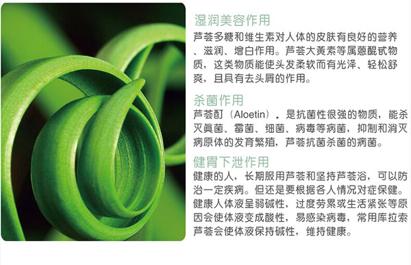芦荟gongx作用.jpg