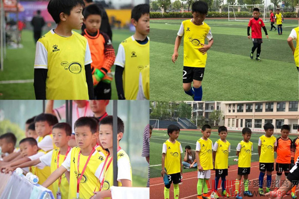 2019五星荣耀青少年足球冠军联赛落幕 南山倍慧足球队勇夺冠军6.jpg