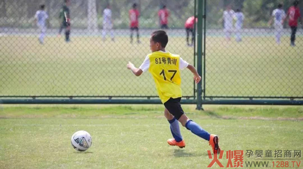 2019五星荣耀青少年足球冠军联赛落幕 南山倍慧足球队勇夺冠军8.jpg