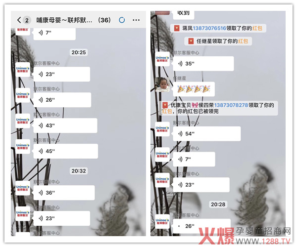 联邦默尔培训.jpg