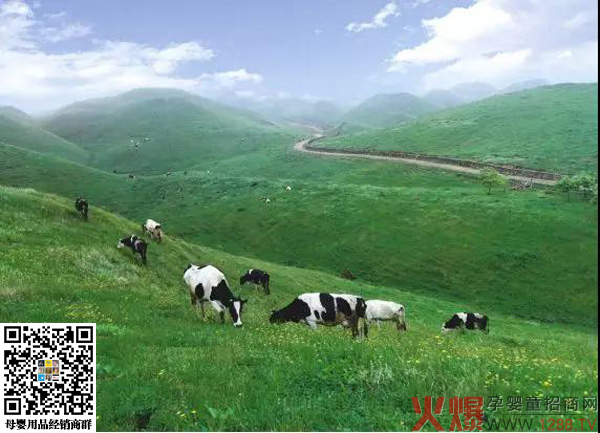 美丽的南山牧场.jpg