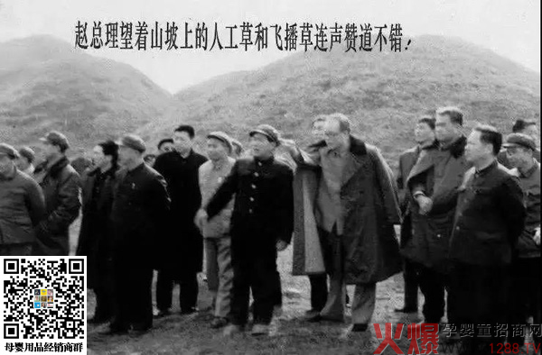 国家领导人视察南山牧场.jpg