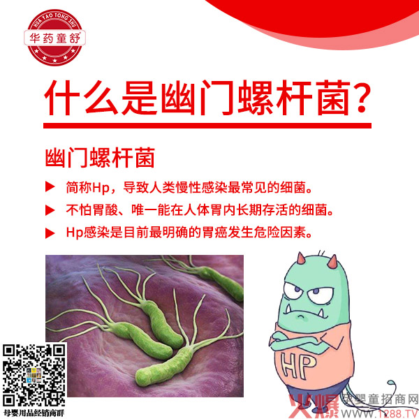 什么是幽门螺杆菌.jpg