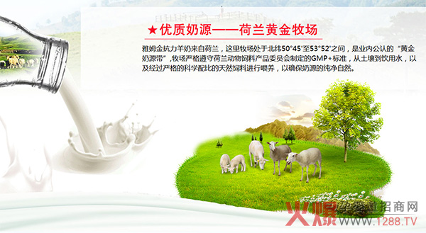 雅姆金抗力羊奶粉优质奶源.jpg
