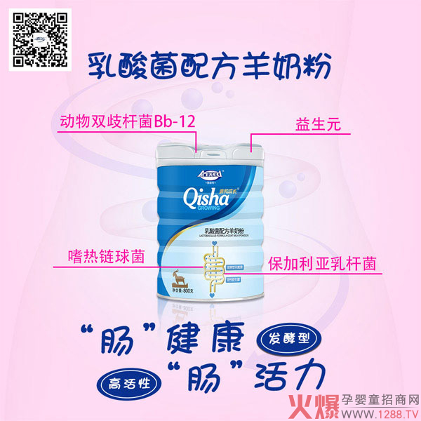 爱能特亲和成长乳酸菌配方羊奶粉2.jpg