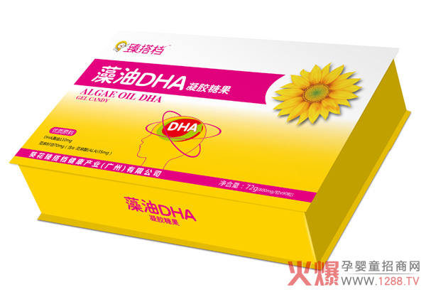臻搭档藻油DHA凝胶糖果 90粒.jpg