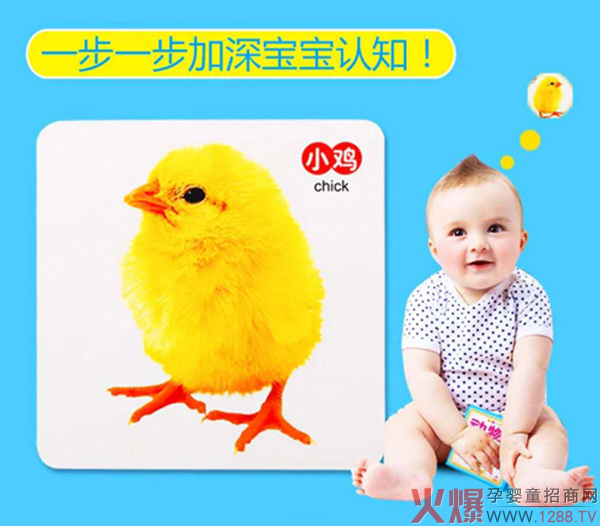 滋朵认知启蒙卡.jpg
