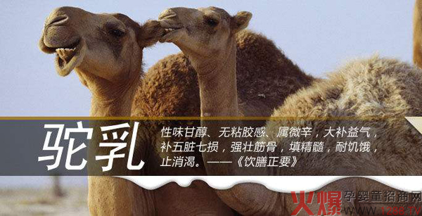 骆驼奶.jpg