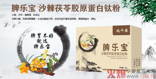 比个高脾乐宝.jpg